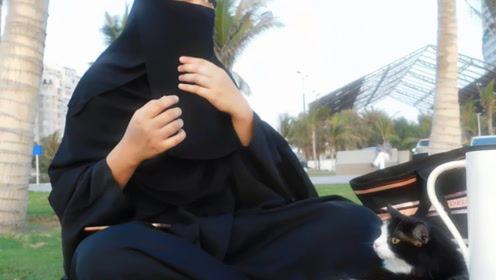 娱乐吃瓜君之前是谁,娱乐吃瓜君的前世今生